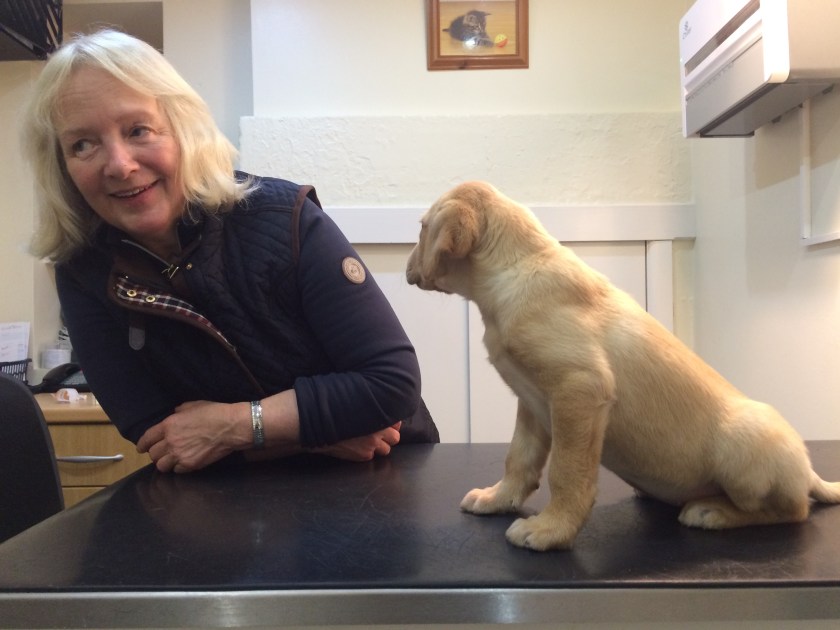 4CF21F36-984D-4321-9774-B786785A5123