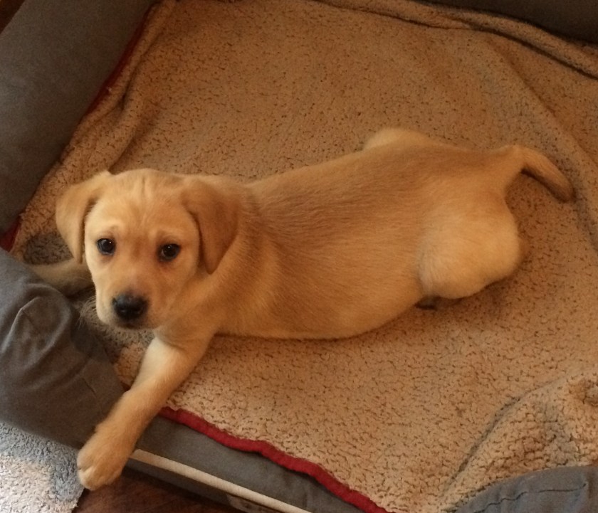 6558932D-0ADC-46D8-B391-921452672977