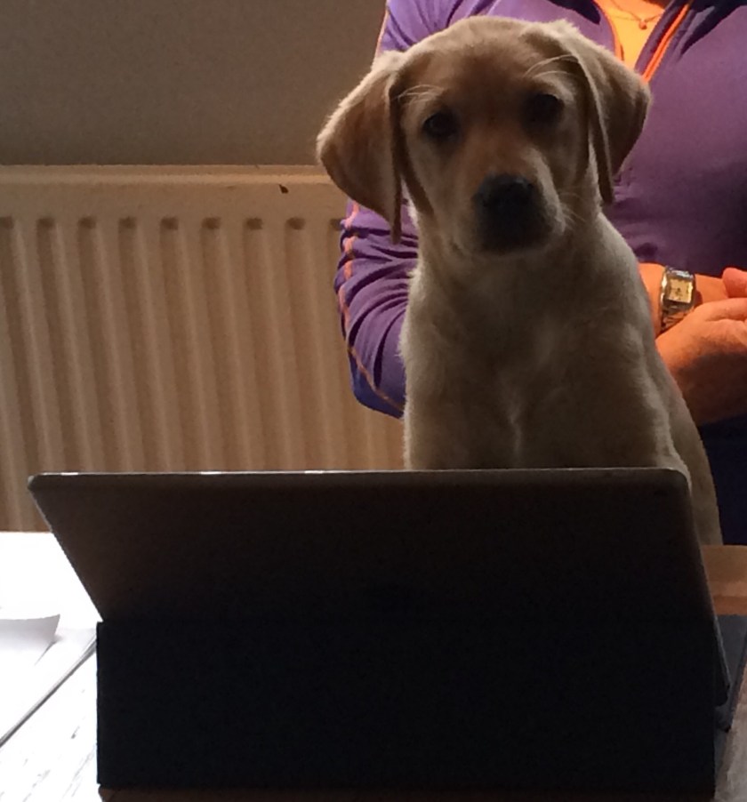 BBC11329-2531-423B-8A3B-74B8D3724597