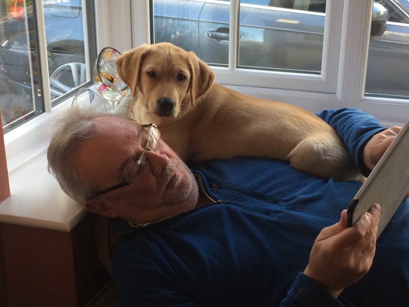 738B1105-913A-4430-A074-E14ACE1B6E9C