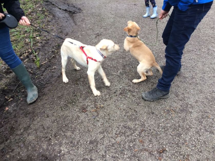 C0A49696-2F08-4F91-9D9A-D7EA6287979E