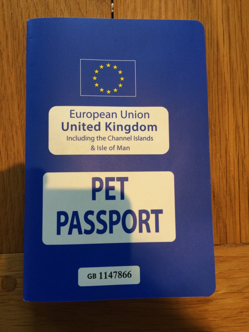 18B5D34A-16F4-4581-A463-9384CFD90658