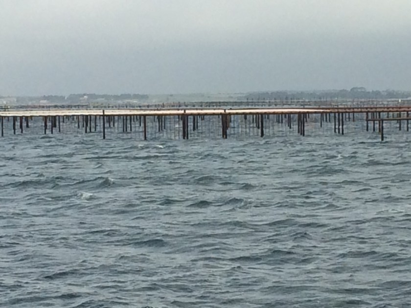 3199CB0E-7D80-4C8D-9703-F83D76516901