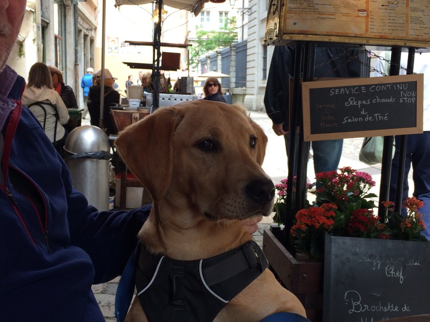 4F2F04C6-8E76-4ED5-8994-997E88D78A1B