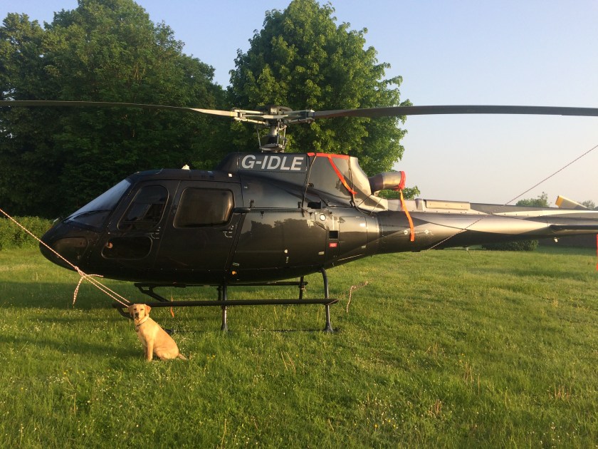 655A08B0-2A07-46C8-9245-5EEE81C355B2