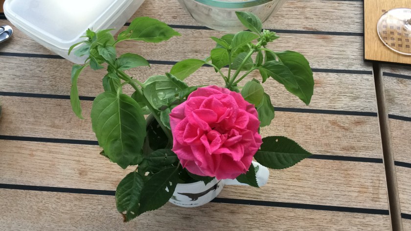 7DF204F2-0B0D-4A12-95F2-9C9FDA2EA489