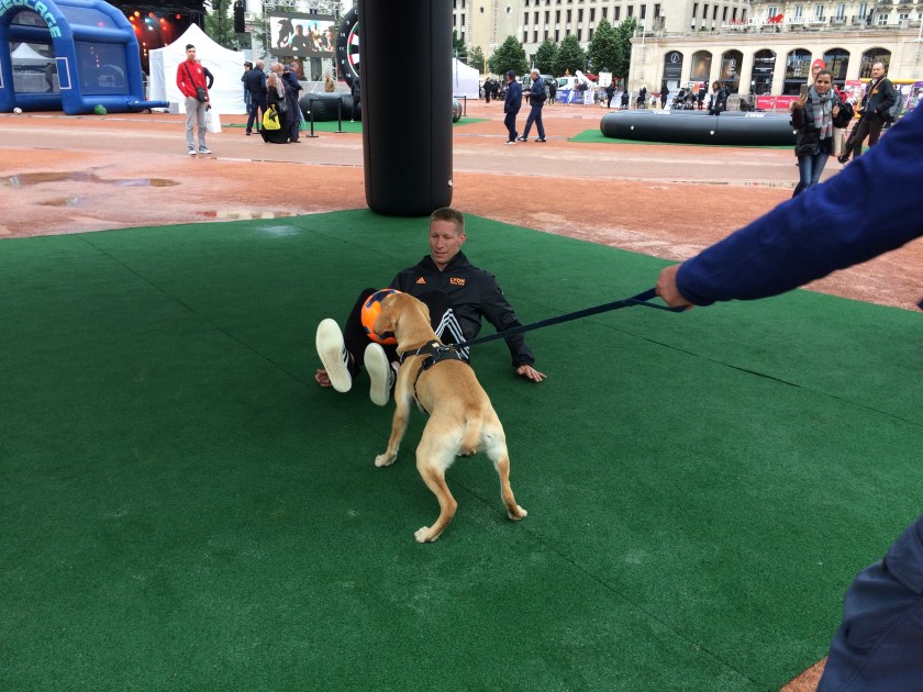 89D22429-6F6A-4226-8926-7127E85C7E88