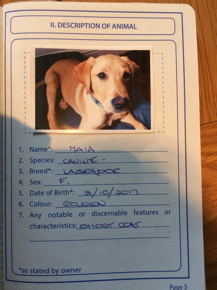 9FEA417F-95B2-4600-93FB-F126BEC424FE