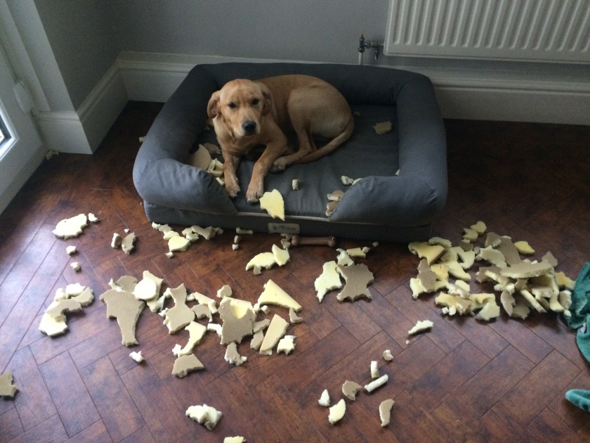 A1C318F6-E2D8-4A4B-AB5E-22FA01B2C7F8