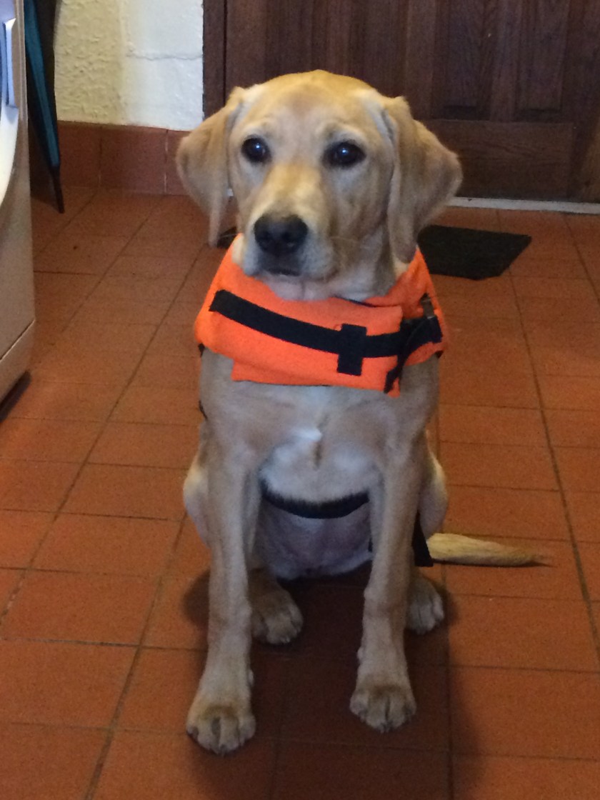 A3348D44-47AB-4CA0-A287-4E5A617110FE