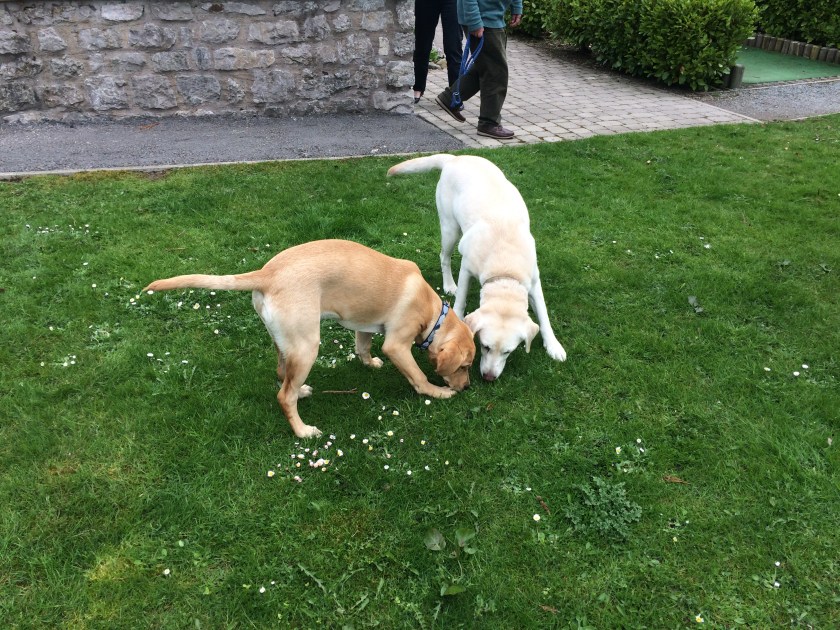 A7E14C94-120B-4DA8-B1B2-DC3BC9512CF9