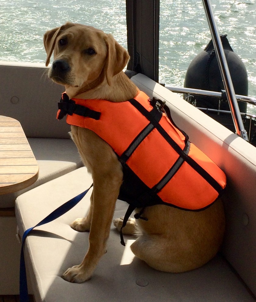 C549C9DE-DF52-478F-B404-F7AD5EA632D0