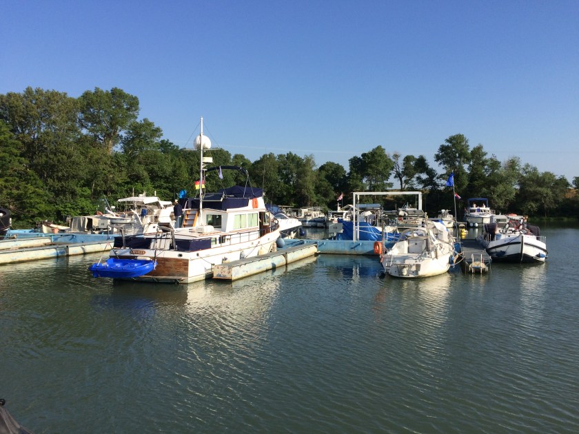 D18B20BB-BC0D-41D7-9CB8-19B1947873A5