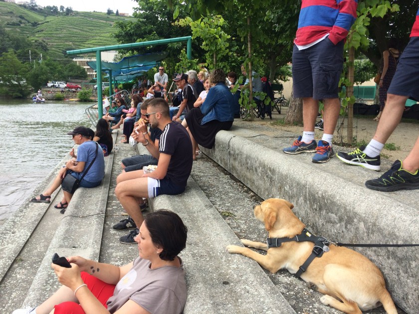 A7303EF1-3D9F-4F4F-816B-6E25C0B6BA94