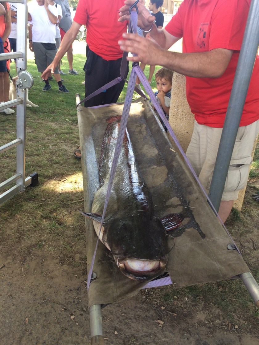 AD5CF8DC-8B20-4516-AE6E-9793DF69DC90