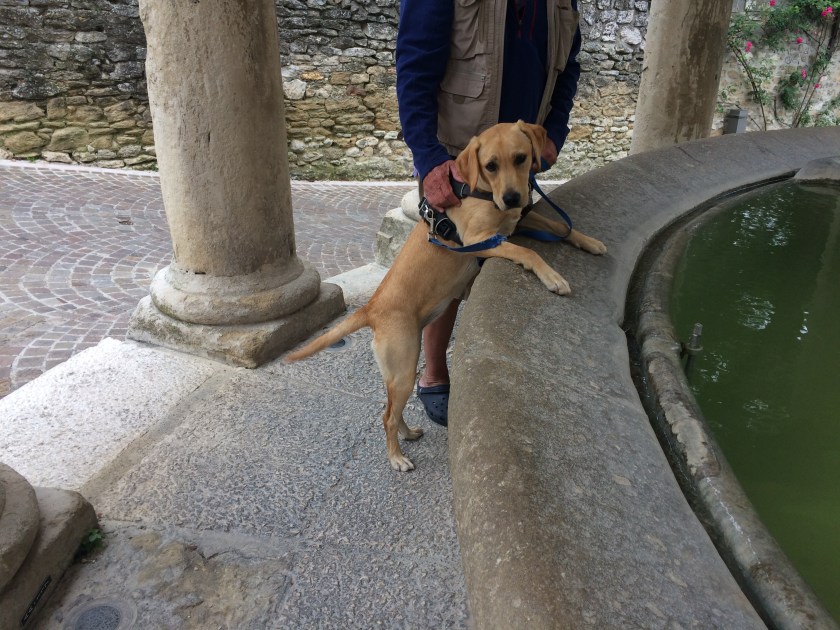 DA8E02C2-9FC9-427B-9279-92977B08DB23