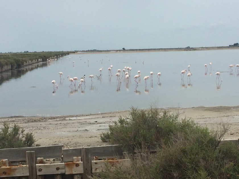 EF9D16D4-91E8-4468-9893-7AFDB41B6A9F