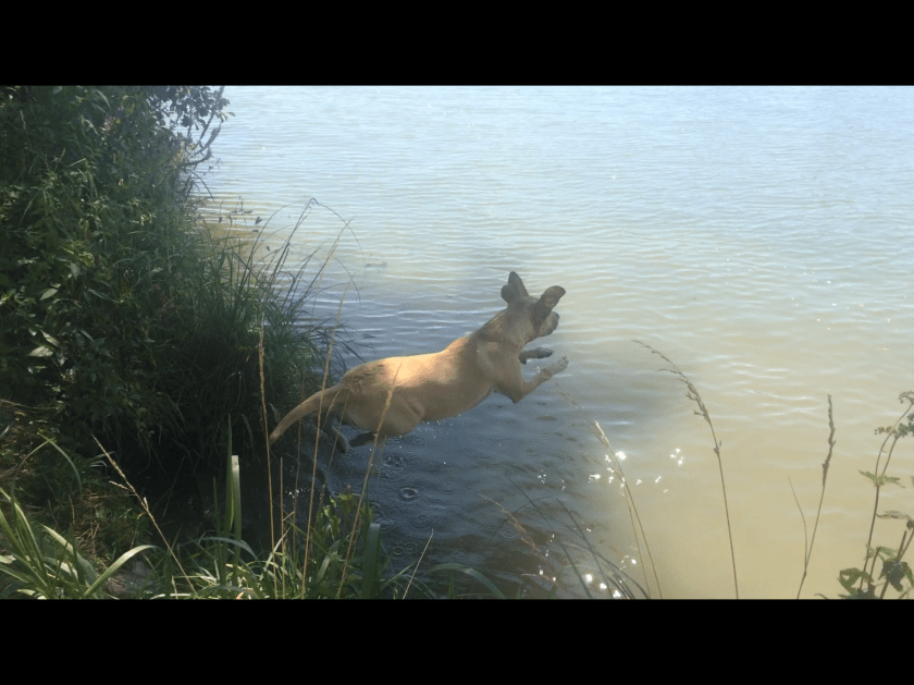 1857B2FB-2E9F-42FF-93B2-87A4EBD009CB