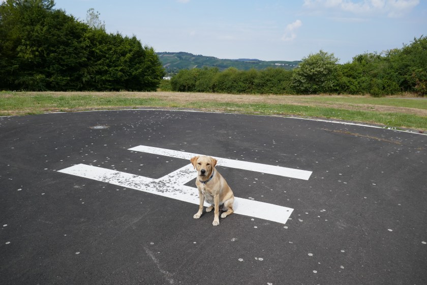 AB8BDB06-A4D2-41D8-8BF1-80DAC6F6283C