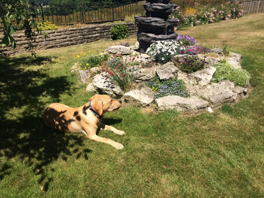 C4B0413F-96FE-4BCA-8F48-60653DBD4E5F