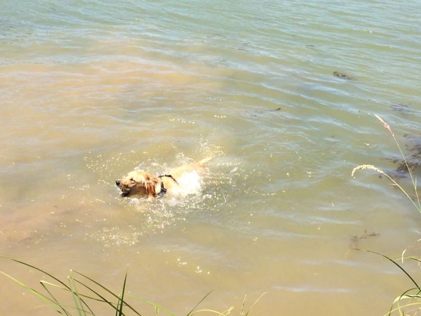 F1CDB544-BC56-4DCE-A4AB-365C78A9C352