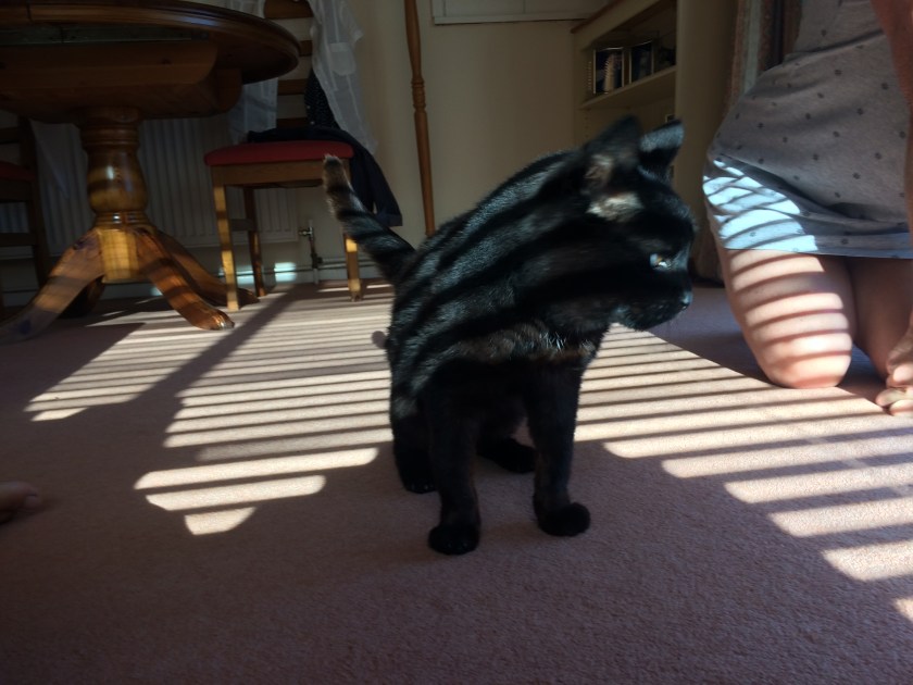 F3CE0394-2F5F-47EF-A50C-8E634BF6DF8E