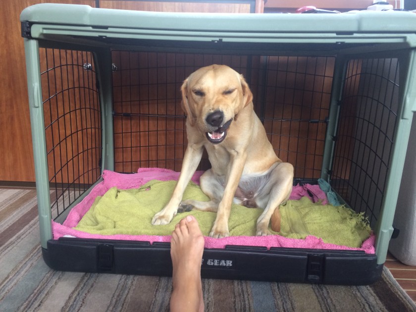 204A45DE-CC89-494E-AA4C-E54143B75B71