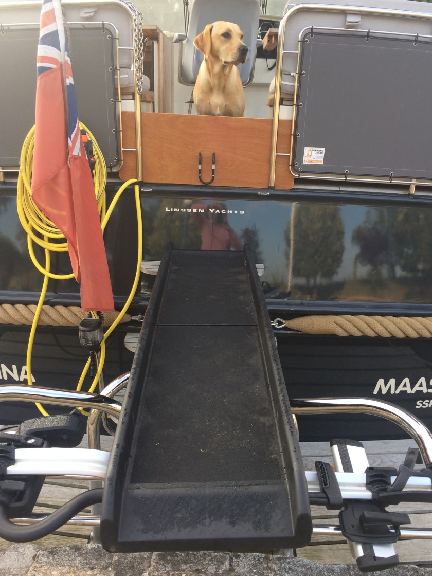 33A52B48-1AC6-4B4C-A5E4-6582226E4FA7