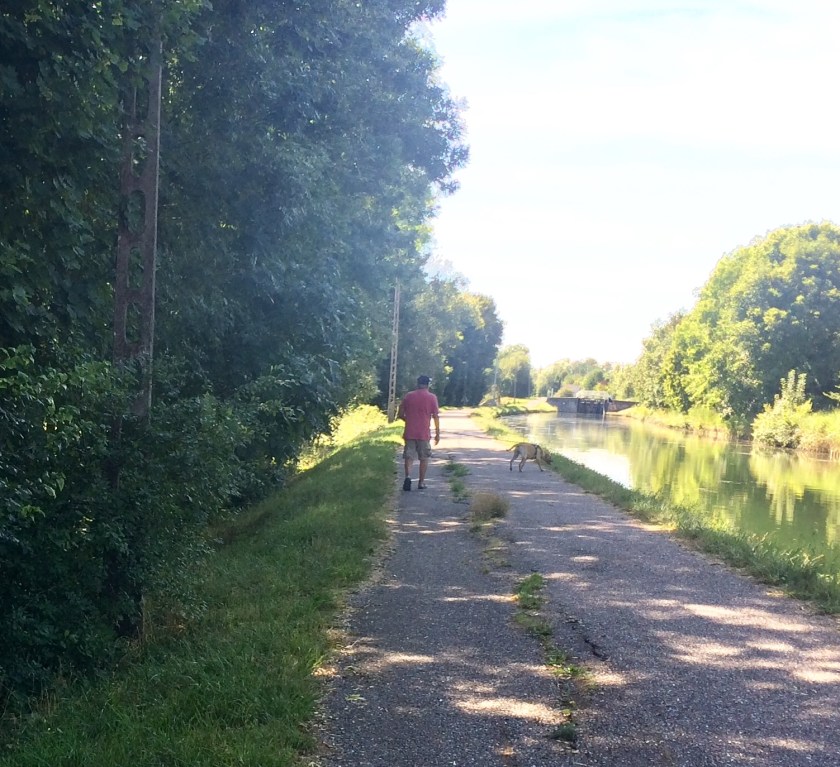 6E6369A4-2E71-42F8-8E47-EA1F327FD051