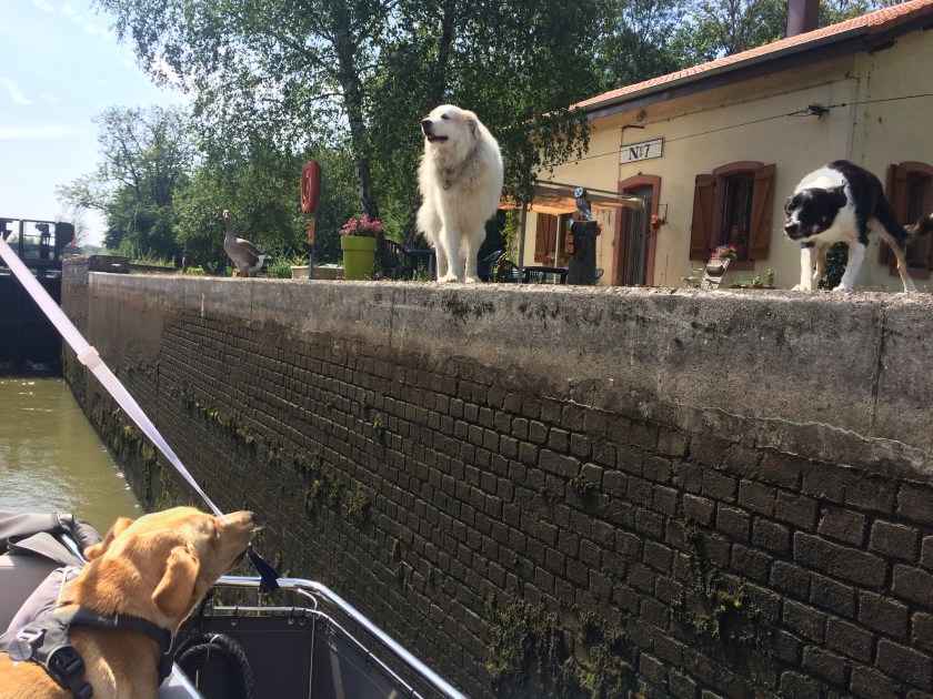 CE5716CB-8C11-4C39-9D66-779455656AE6