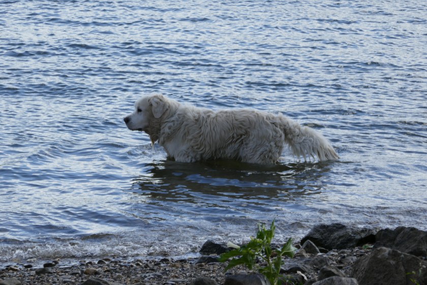 43B69699-3440-4610-B47D-C51A2BA4B85E