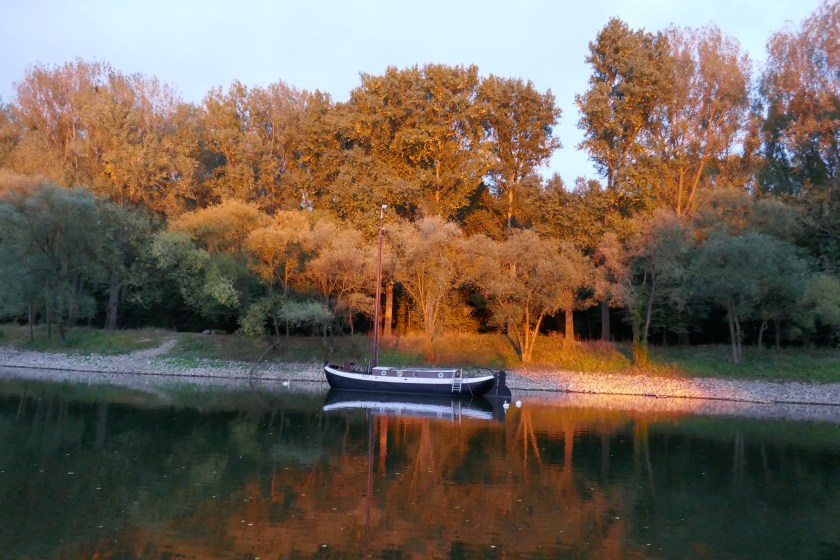 4ABD7644-1D94-43CB-B747-8CC154339558