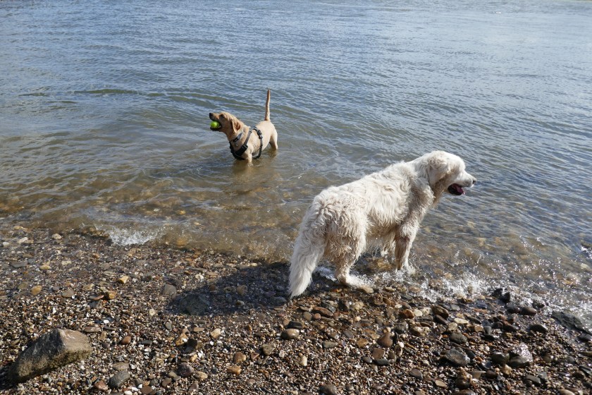 898AE1E5-A36E-4059-958C-652155B2D055