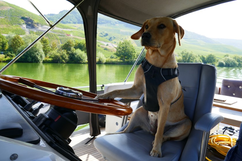 BD43A106-8AAA-4FA6-8731-15EEE73B36AC