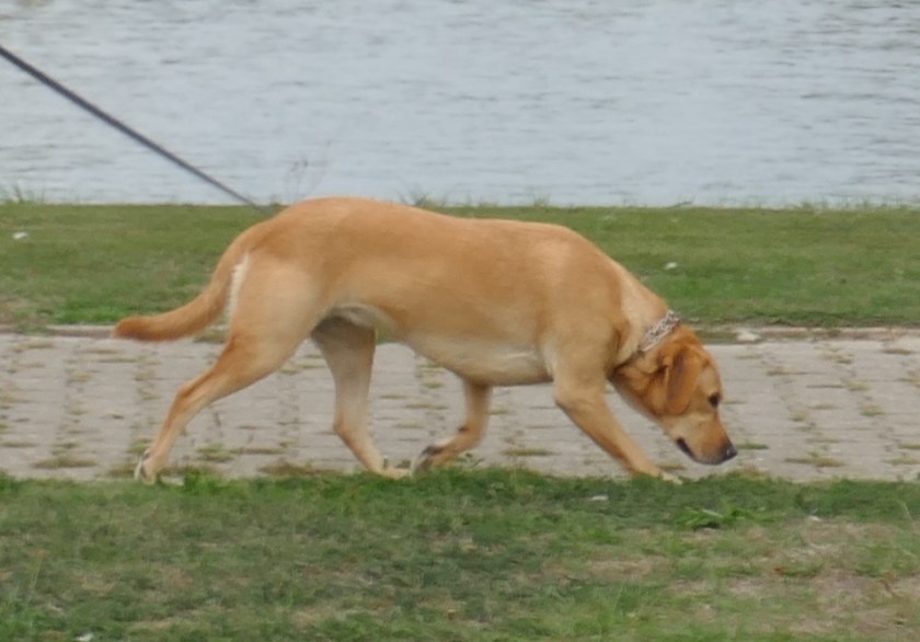 D704F716-D67E-4471-94F6-F077FCC20989